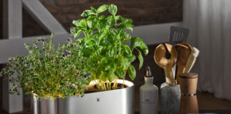 Im Kräutergarten WMF Ambient @home Küchenkräuter können auch andere Gemüse- und Obstpflanzen oder Zimmerblumen angepflanzt werden
