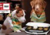Clatronic Dog Cookie Maker Test 2018