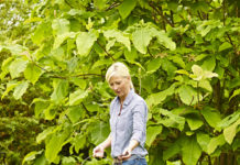 Mit der Vital Grün Rasenpflegeserie von Floragard haben Gartenbesitzer die idealen Produkte zum Aufpäppeln ihrer Rasenflächen im Frühjahr