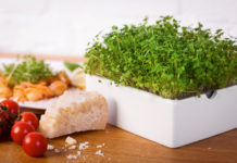 Mit Heimgart, dem kleinen Küchengarten, gibt es stets frisches Gemüse im Mini-Format
