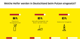 In der Putzstudie, die Research Now im Auftrag von Kärcher durchgeführt hat, wurden weltweit 9125 Teilnehmer befragt
