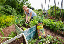 Gute Basis für ökologisches Gärtnern im Hochbeet: Floragard Bio Tomaten- und Gemüseerde ohne Torf