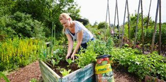 Gute Basis für ökologisches Gärtnern im Hochbeet: Floragard Bio Tomaten- und Gemüseerde ohne Torf