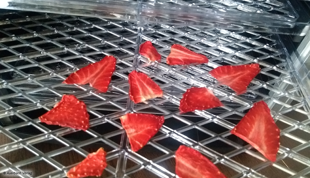 Im Einschub-Dörrautomaten von Graef gelingen Erdbeerchips und andere Leckereien in Topqualität