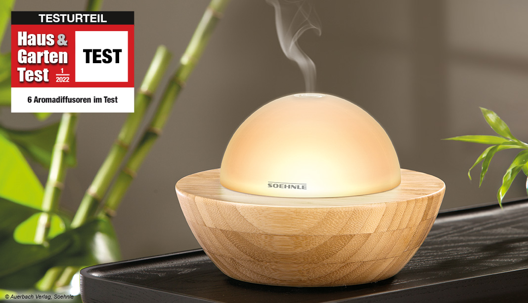 11 beste Aroma-Diffuser im Test & Vergleich 2024: 1 klarer Tipp