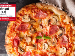 Test_Gastroback Design Ofen Air Fry & Pizza_Startbild