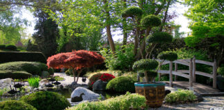 Gartengestaltung Strauch Bach Teich