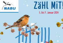 Nabu Stunde der Wintervögel - Zählung