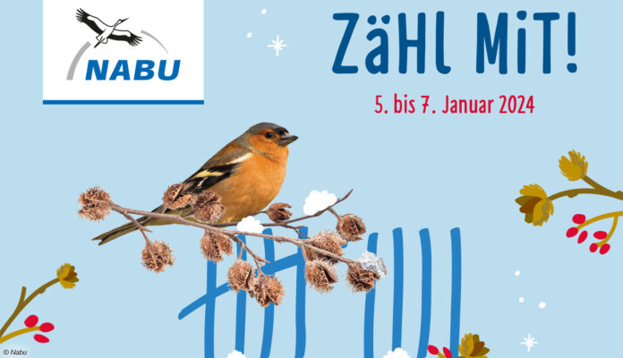 Nabu Stunde der Wintervögel - Zählung