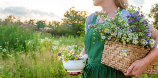 Bio Garten Kräuter