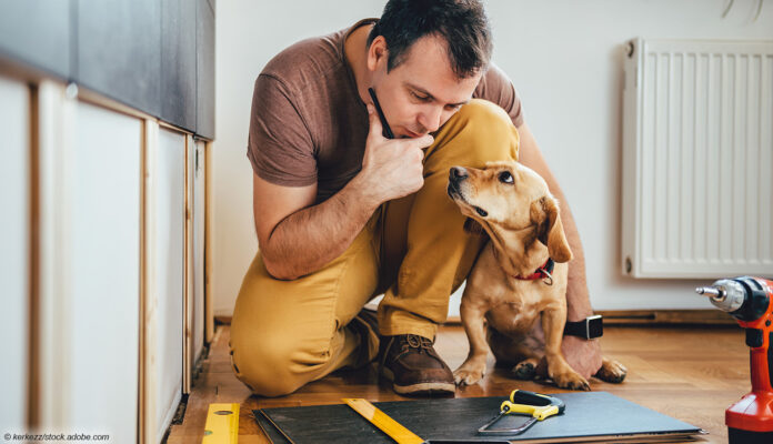 Handwerker Hund Laminat