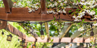 Pergola Garten