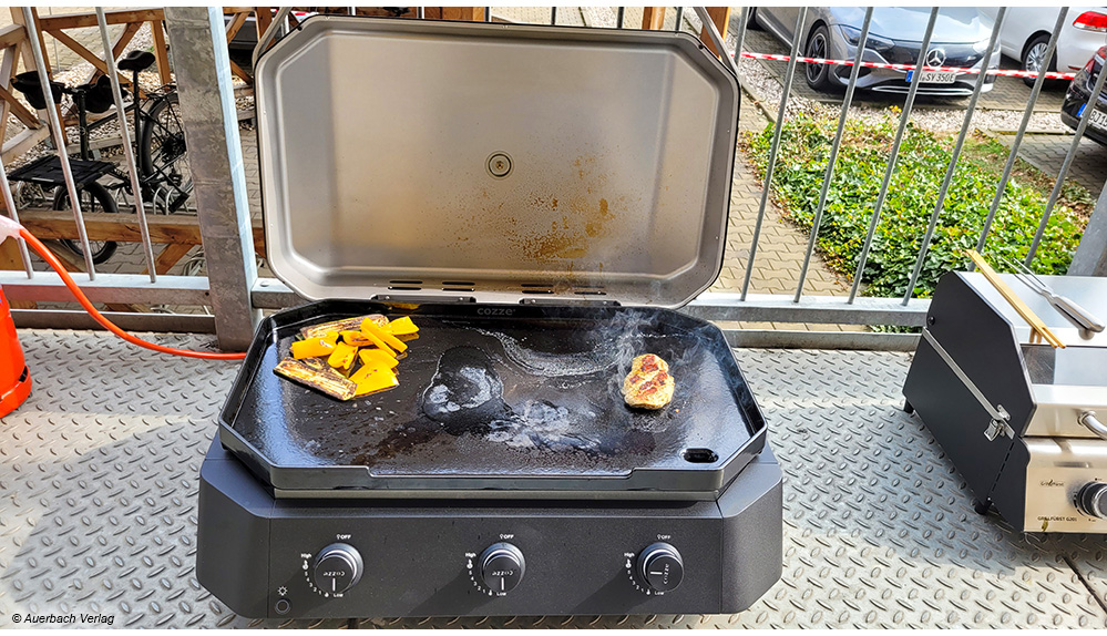 Plancha-Grills eignen sich besonders zur Zubereitung von Gemüse, Pfannengerichten wie Paella oder für Fisch