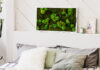 Moosbild am Bett