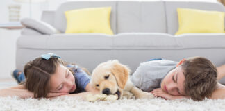 Teppich Wohnzimmer Hund Kinder