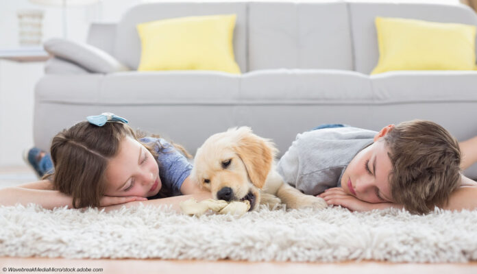 Teppich Wohnzimmer Hund Kinder