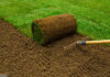 Rollrasen mit Harke