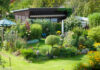 Schrebergarten Rasen
