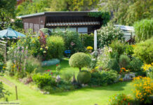 Schrebergarten Rasen