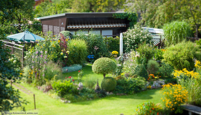 Schrebergarten Rasen Schrebergarten Rasen