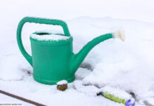 Gießkanne und Schnee im Garten