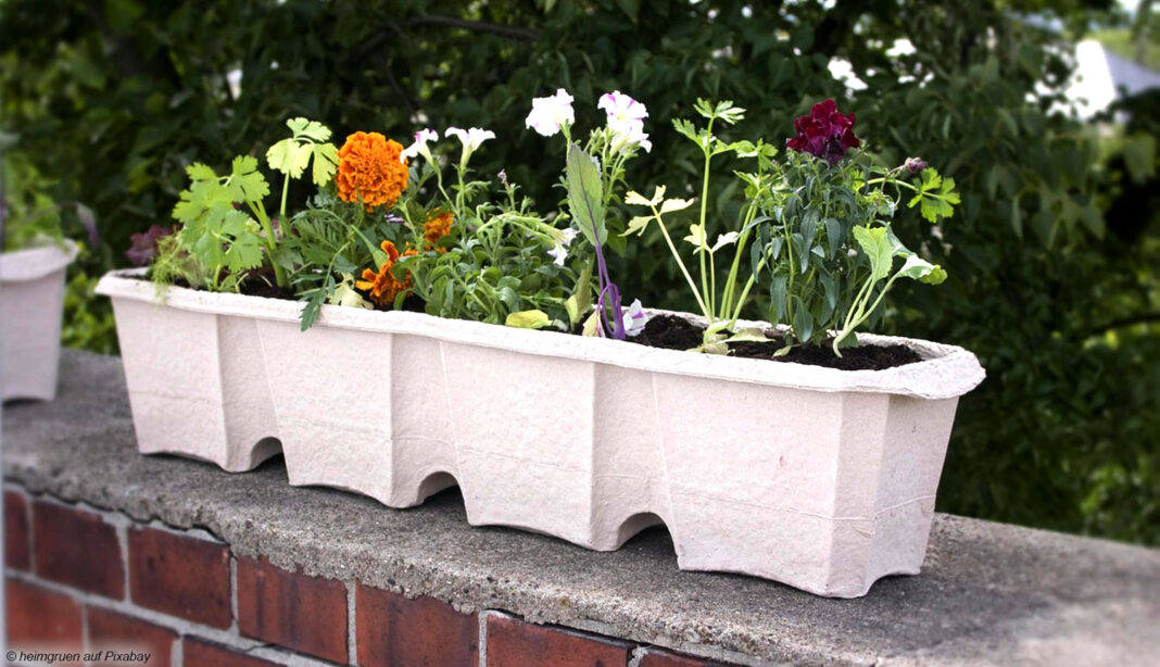 Blumenkasten recycling