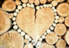 Holz Baumstämme