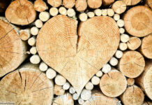 Holz Baumstämme