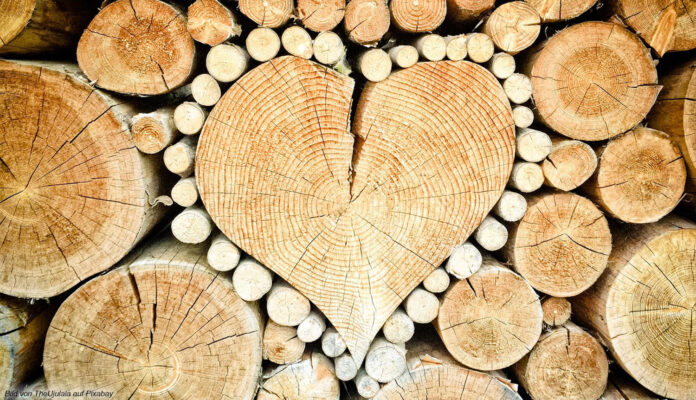 Holz Baumstämme