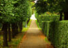 Park mit Hecke und Bäumen