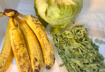 Überreife Bananen, verschrumpelter Salat und matschiger Ruccola im Kühlschrank-Gemüsefach.