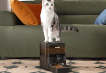 Automatischer Futterspender von Oneisall füttert Katzen in regelmäßigen Intervallen.