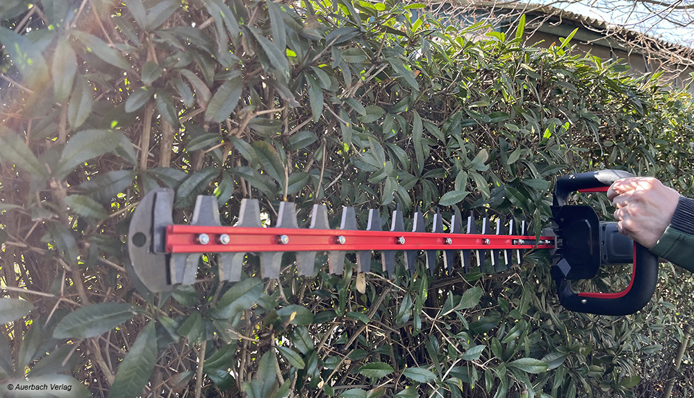 Standardhecken schafft das Modell von Flex-Tools mühelos und auch größere Flächen sind dank langer Akkulaufzeit kein Problem