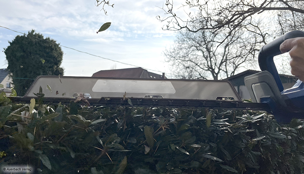 Ein Schnittgutkehrer, wie ihn die Geräte von Kärcher und Scheppach haben, macht sich beim Trimmen der Heckenoberseite bezahlt