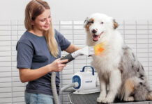 Sommerpflege für Hunde mit den Produkten von OneIsAll