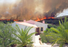 Feuer Waldbrand