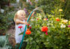 Mit dem Gartenschlauch Blumen gießen