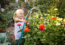 Mit dem Gartenschlauch Blumen gießen