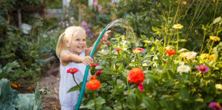 Mit dem Gartenschlauch Blumen gießen
