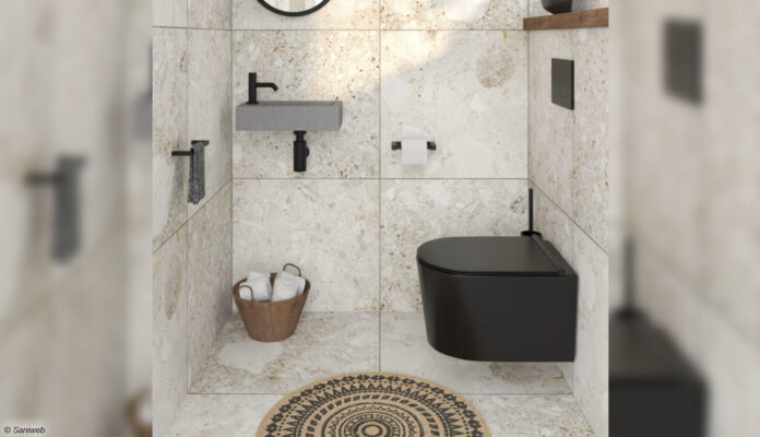 Toilette sanieren
