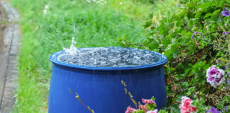 Wasserspeicher Regentonne